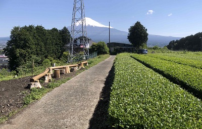 高原一区の画像