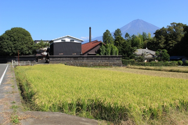 牧野酒造・全景