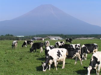 朝霧さわやかパーキング