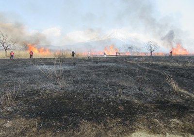 根原地区火入れ(2019春)