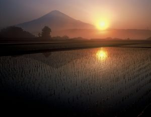 下柚野