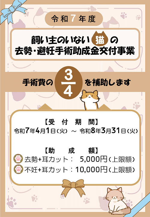 R7猫の助成金ポスター