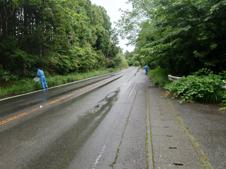 令和4年6月15日　富士山麓環境パトロール隊　上井出班　活動状況