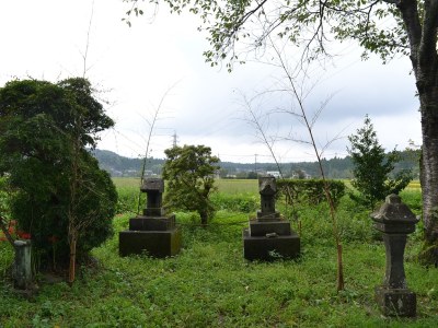 境内に合祀された石祠　風の神(左)と八坂神社(右)