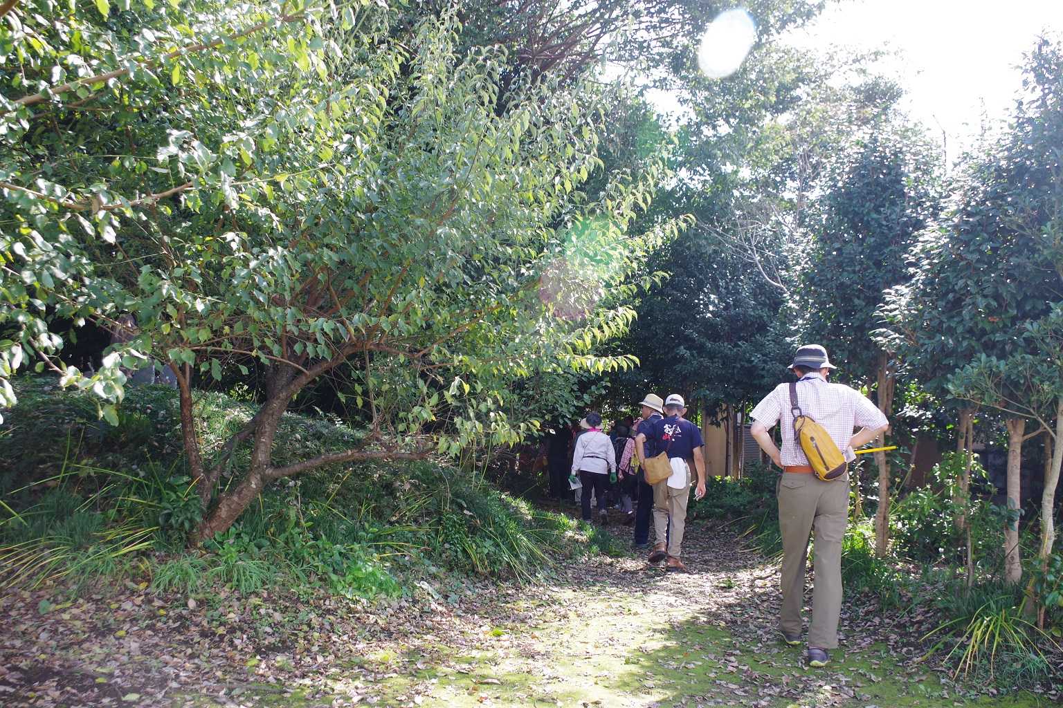 虚空蔵社古墳入口。入口に看板がある