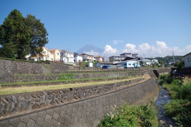 神祖山の神古墳(左の森部分)