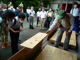 加工されたテーダマツ合板