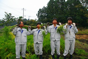 村山にんじん復活プロジェクト