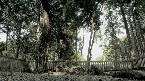 山宮浅間神社遥拝所(Photo by Masaki Kiuchi.)