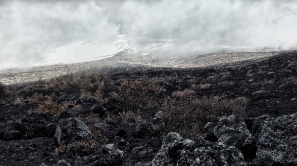 現大宮・村山口登山道(Photo by Masaki KIuchi.)