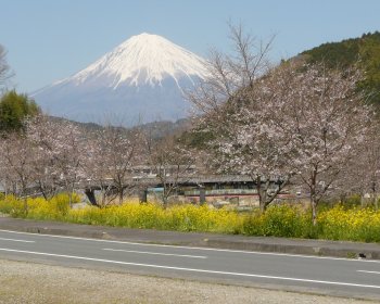 稲瀬川