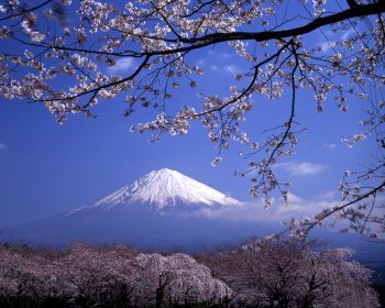 大石寺