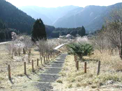 小田貫湿原