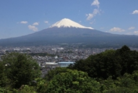公園から望む市街地と富士山