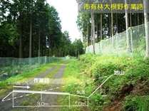 森林作業道標準断面