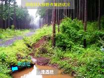 浸透桝