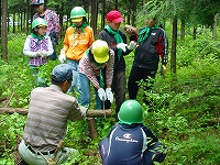 学校林