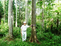 木格子2600年記念林