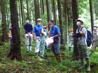 間伐・森林作業道開設予定地
