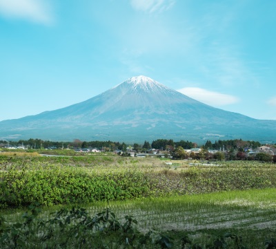 あざみから見た富士山