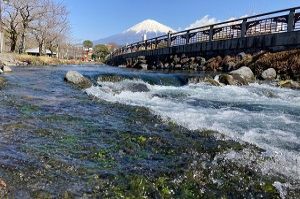 神田川