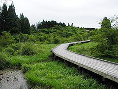 渡り板
