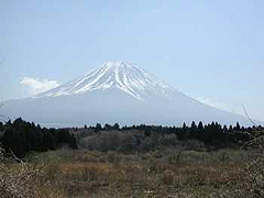 富士山