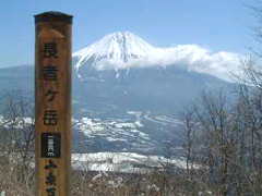 ベンチ
