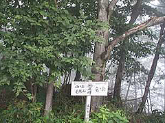 標識