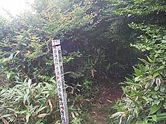 標識
